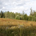 Lasten ja nuorten kesäleiri 2023
