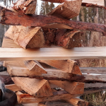 Yhteinen illanvietto 1.11.2019